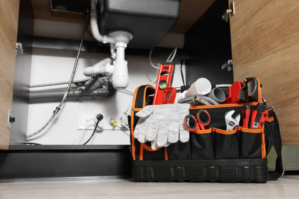 Best Shower Repair Services  in Meridian, CO