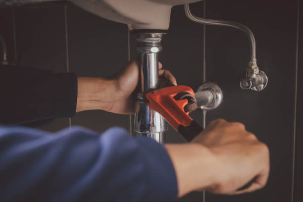 Best Best Plumbers Near Me  in Meridian, CO